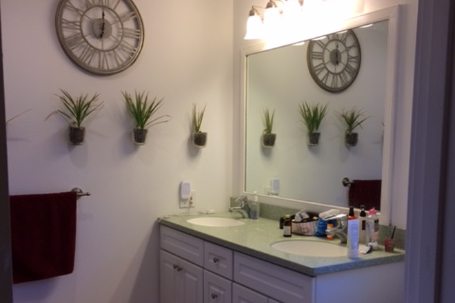 Shared full bathroom - Furnished room for female-Cranbury Rd-Princeton Junction House