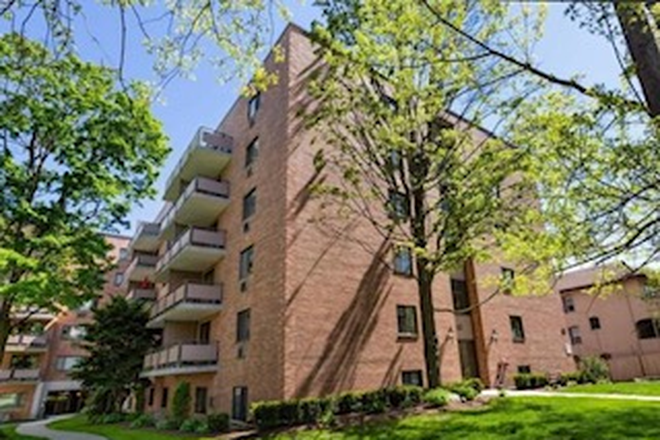 Street view - Single bedroom for rent - shared 2bed/1 bath apt at Brentwood Apartments (Arlington, MA)