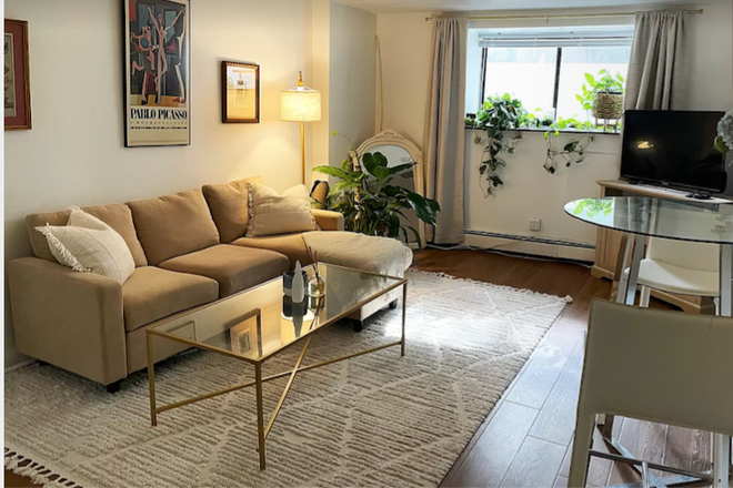 Living room - 1 bedroom, 1 bathroom apartment in Brighton (Kinross Rd)