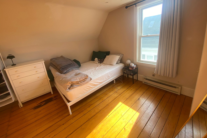 Room - Furnished 1 Room in cozy 2-bedroom apartment close to Harvard Sq