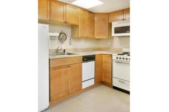 1 - SUNNY studio on commownealth ave-ROOF DECK!! Apartments
