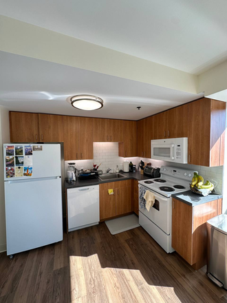 Open kitchen - Harvard at Trilogy Apartments