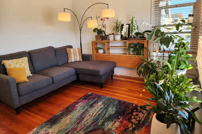 bright and sunny Living Room - Great find! Suitcase-ready place for one month. Large, furnished bedroom in sunny upper 2-bdrm unit