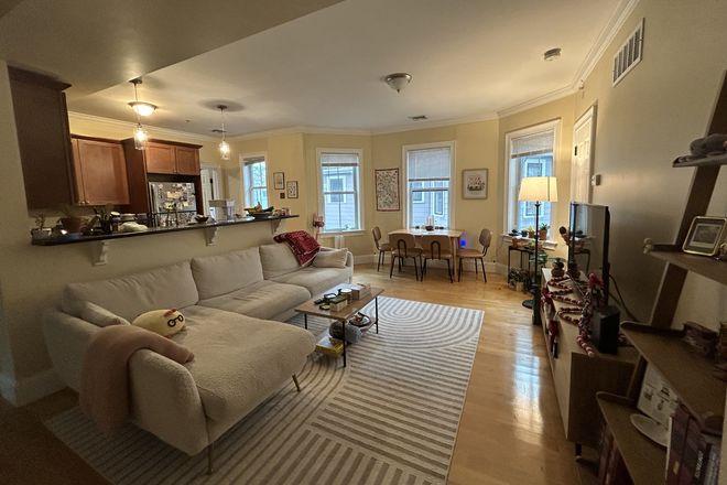 Living room - Orchard St. Sublet