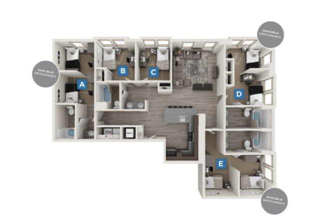 Layout - The Standard