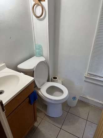 Bathroom (2) - Rooms in shared home-Chestnut St-Princeton