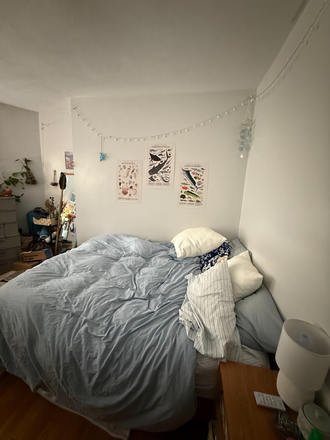 Bedroom - LOOKING FOR (SHE/HER; THEY/THEM) SUBLETTER 55 Dudley Street Apartment