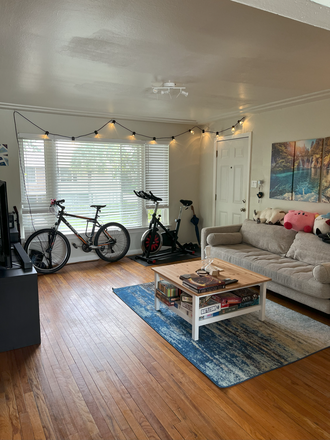 Living room - Room available near Rice Village (2 bed/1 bath) Apartments
