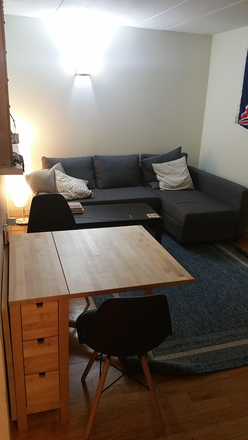 LIVING ROOM - CHESTNUT HILL 2 BED AUGUST 1 COMMONWEALTH AVE CLOSE TO BC