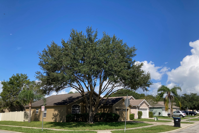 Side Exterior View - Charming 4BR/2BA Corner Lot Home Near UCF & Blanchard Park - Completely Renovated/Upgraded!