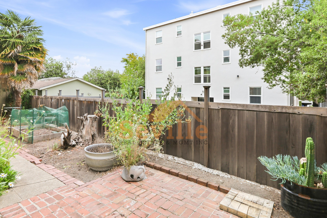 Shared patio - Bright 2BR in North Berkeley | Spacious Layout Near UC Berkeley