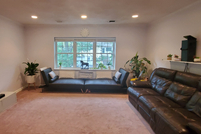 Living Room - Beautiful 3 bedroom 2 bath Condo next to Boston College with Parking