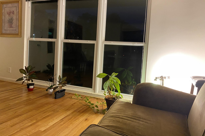 Hall/Dining Room/Common Area at Night - 2Bed2Bath at Emory Village (Walk to Emory) from End of July Apartments
