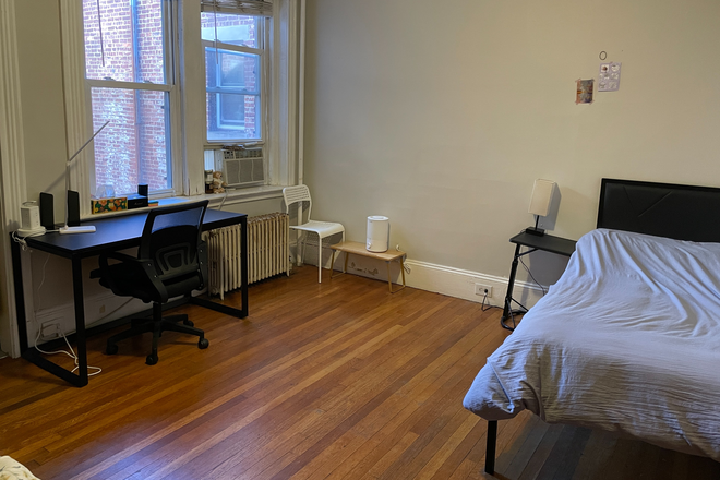 Living Room/Bed Room - Coolidge Corner/Brookline - Studio Apartments