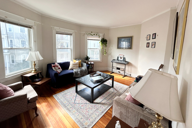 Living Room - Spacious 3 Bedroom Apartment - Great Natural Light!