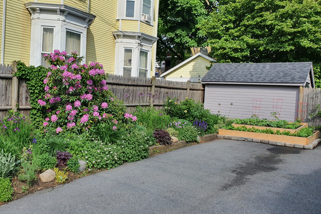 driveway with gardens - Fully furnished 3+ bedroom home in a 2 family historical home in Arlington Center