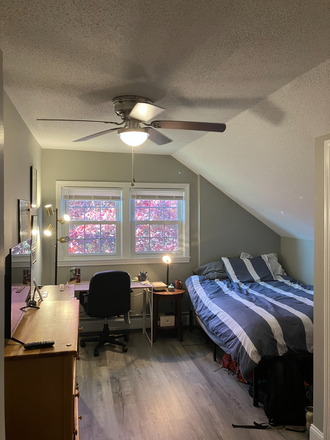 Bedroom. Would come furnished with bed, desk, chair, dresser, and bookcase - Hadley Bodega