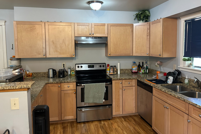 Kitchen - soo much counterspace - Spring 2026 Sublet, 1 available room of 2 bed 1 bath apt