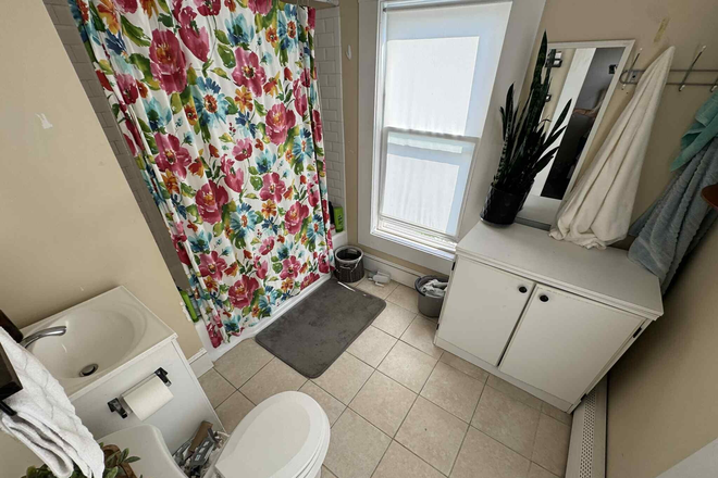 - - No Broker Fee!! Short Drive/Commute to Campus! Spacious 3 bed 2 bath w/ Laundry Apartments