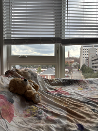 Scenery - Short-Term Lease  - Broadview Studios