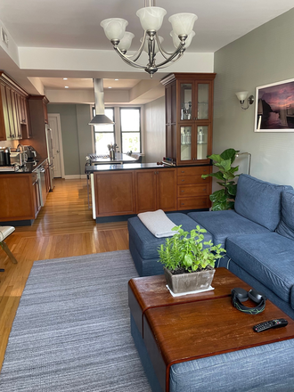 living room - BC's most beautiful 5 BR! All new, Steps from campus. A/C, Parking, 3 baths. A stunner! Condo