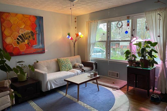 Living Room out front windows - Artsy Home - Room for rent $825, includes utilities.
