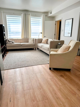 Living Area - Fully Furnished 2 Bedroom Apartment, In-Unit Laundry, A/C, Heart of UIC, Little Italy, West Loop