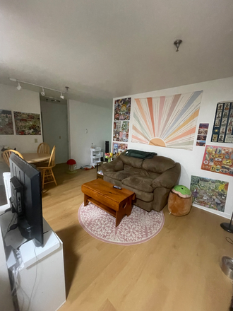 Living room - looking for 2 roommates! 301 Hill Gardens, walkable! Apartments