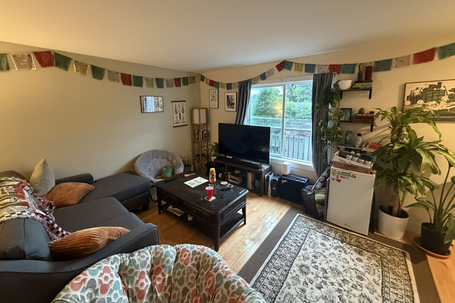 Living room - Decatur Street Apartment, close to downtown and campus