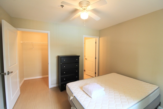 Bedroom - 4 bedroom 4 bathroom condo available for the 26-27 school year!