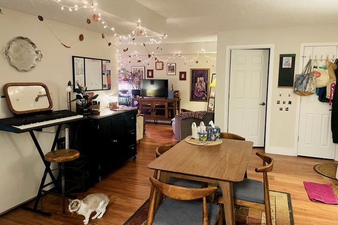 Common Area ( Dining Room + Living Room ) - Private Room in Shared Gunbarrel Apt.