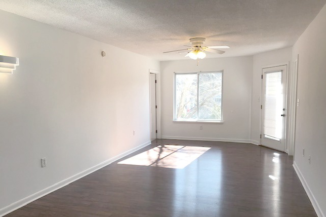 Living/Dining - Collegiate Circle 4b/4b Apartment on the Wolfline