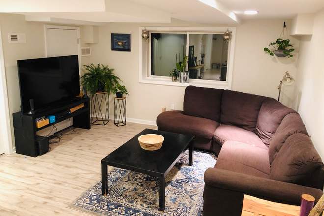 Living Room and sofa (sofa replaced) - 1 bedroom available in 2-bedroom 1-bathroom ground floor apartment in Chevy Chase, MD (1200 sq feet)