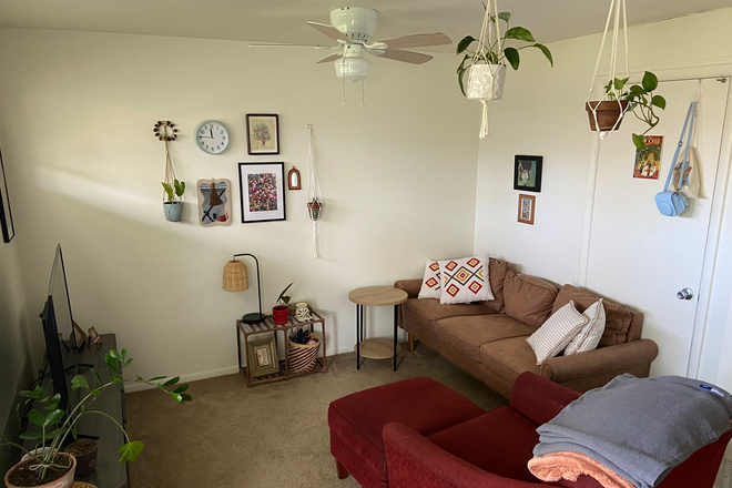 Living room - Timber Ridge Apartments