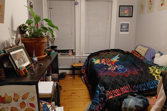 Bedroom - Summer Sublet - Will be avalible to rent in September Apartments