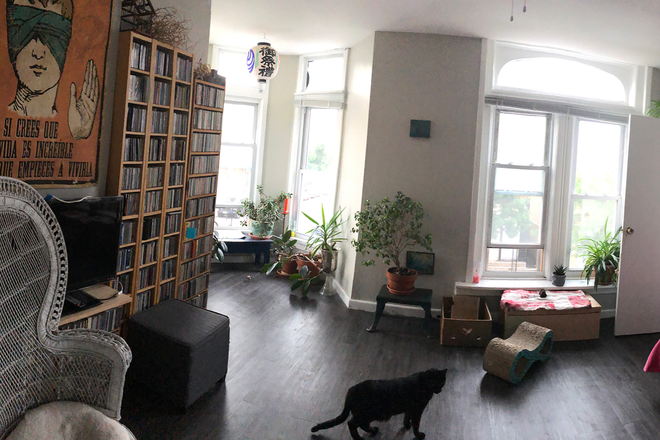 living room-panorama - Sunny spacious sublet close to UIC $900 ENTIRE APT. June 14-July 10 2025. All utilities included.