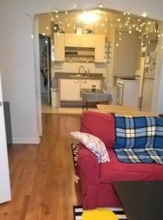 living view to kitchen - WALK to WEST Campus only 0.4miles/ HUGE, charming, quiet, immaculate w/office, storage and more Apartments