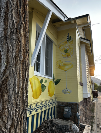 side of the house - Lemondrop House