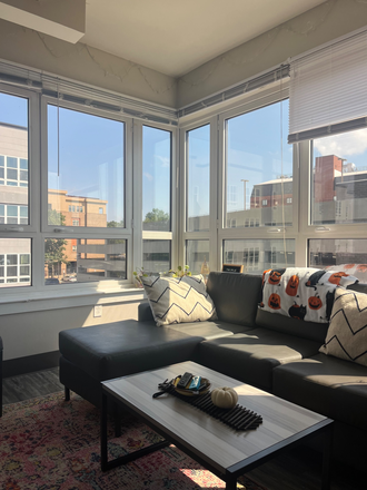 Living room and windows! - Valentine Commons