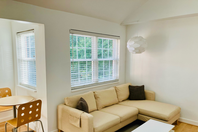 Living Room - NEW LISTING - ROSSLYN GEM, walk to Georgetown Condo