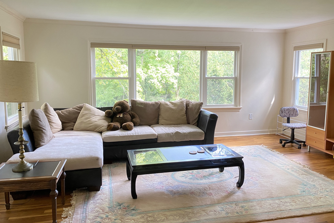 Living room - Furnished room-Red Hill Rd-Princeton