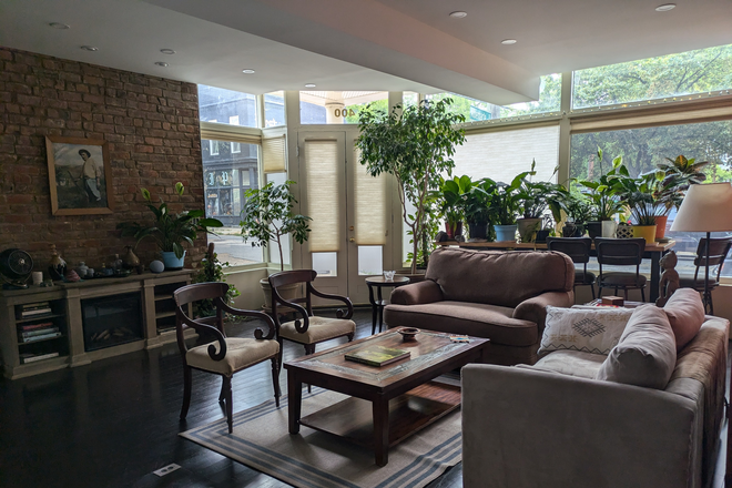 living room, from hall - Master Suite or smaller bedroom in Oregon Hill Home - Rent Reduction for Plant and Cat lover!