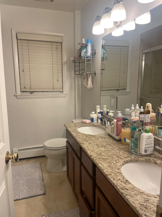 Bathroom (shared with one other person) - Winter Quarter Sublet Available Apartments
