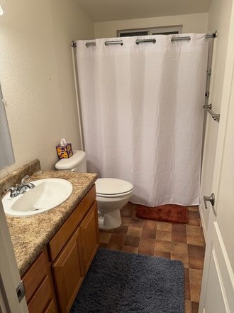 Bathroom - House 8 mins south of campus