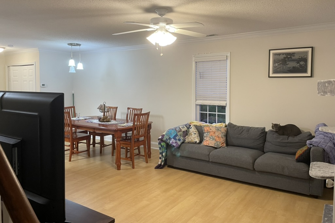 Living Room - Searching for Roommate, 2B/2B Unit at Taylor's Pond