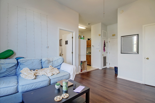 Living Room - Smith Street Apartment Minute-Walk to Campus