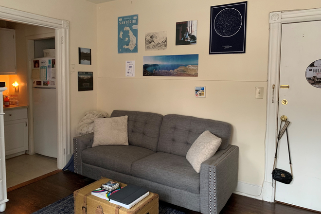 kitchen access and living room - Large furnished Studio apartment in prime location!