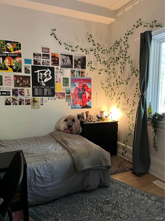 Room - $1100 1 bedroom available in a 4 bed 1.5 unit | College & Spadina