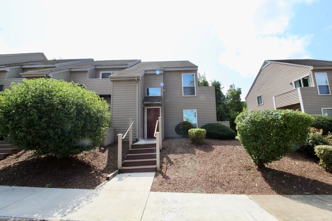 front of home - Camden Townes - Rent The Entire Upstairs Floor! - Now Leasing for the 25-26 school tear. 1338 Camden Townhome