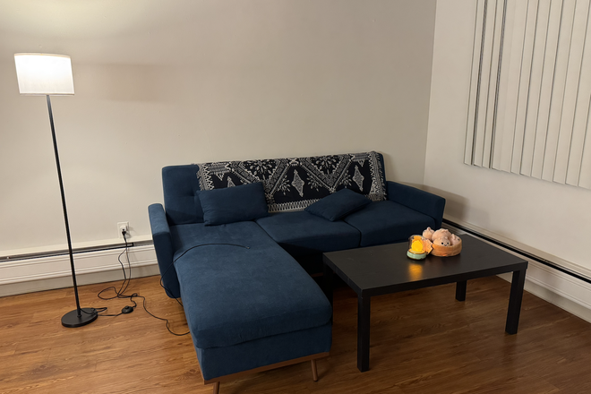 Living room - Summer Sublet in 2B1B Apartment